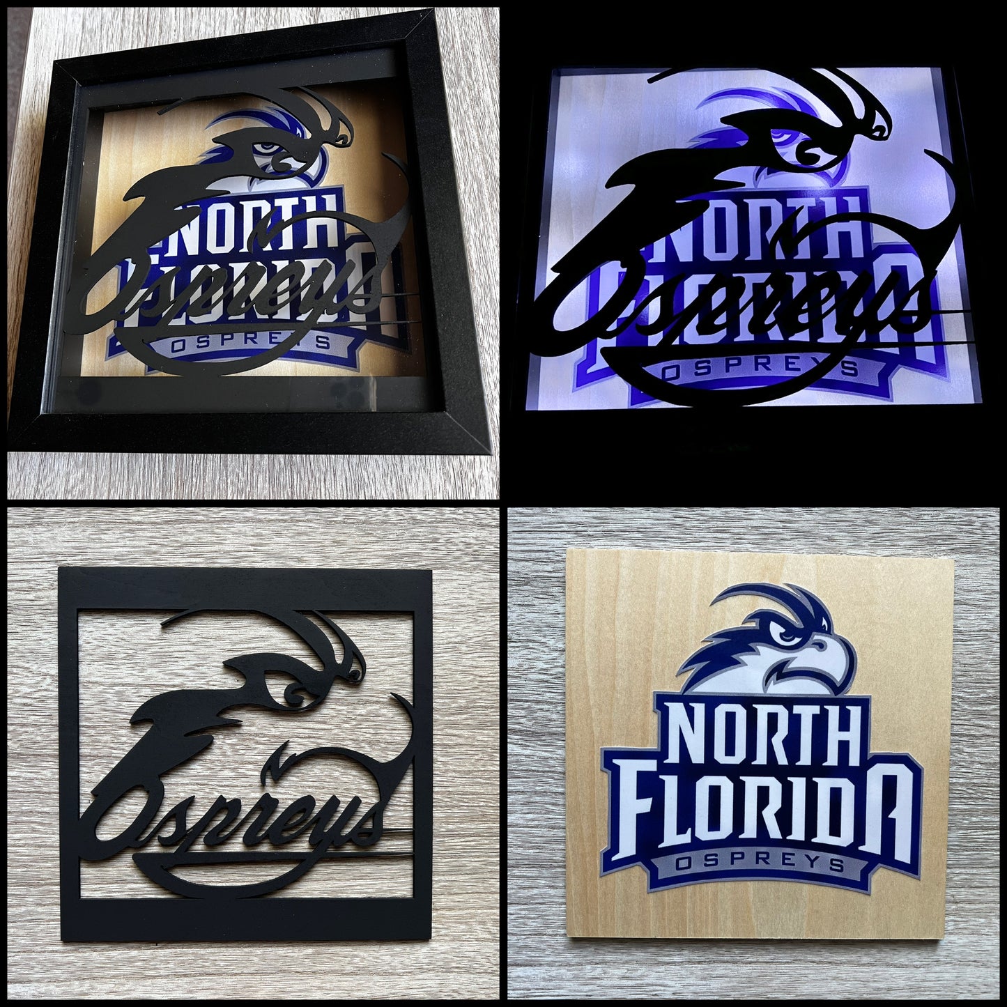 ShadowBox Nightlight {Ospreys}